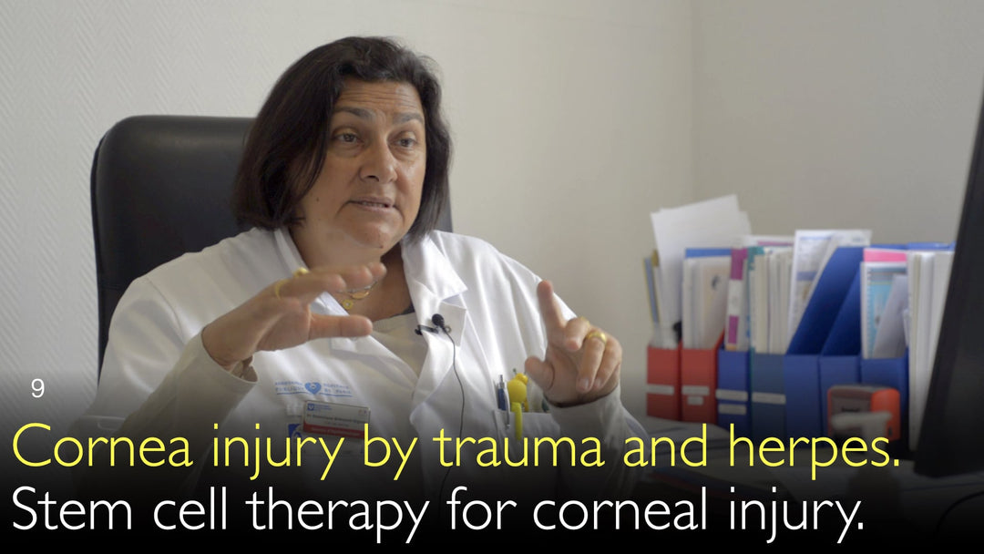 Lésion cornéenne post-traumatique et herpétique. Thérapie par cellules souches pour lésion cornéenne. 9