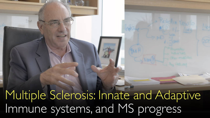 Multiple Sklerose. Angeborenes und adaptives Immunsystem interagieren. 3