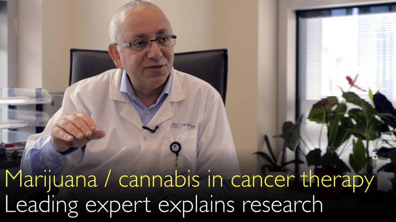 Marihuana und Cannabis in der Krebstherapie. 5
